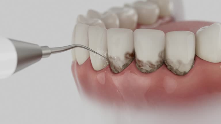 Reliable Dental contractor in Key West, FL by Dentist Open Now